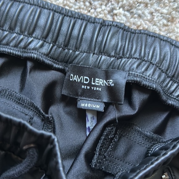 David Lerner Leather Pants - Picture 3 of 5